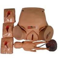 Child Birth Simulator With Episiotomy Care