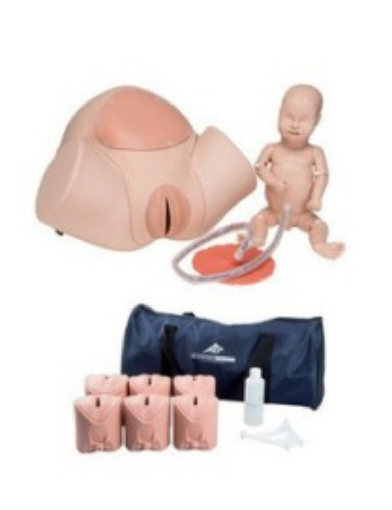 Abdominal Palpitation Model (Leopold Manuever) - Application: Hospital