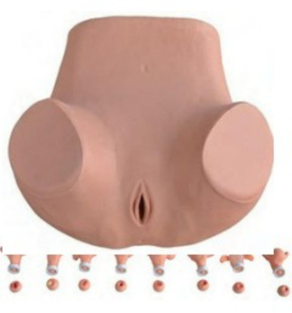Best Price Gynecological Training Simulator - Application: Industrial