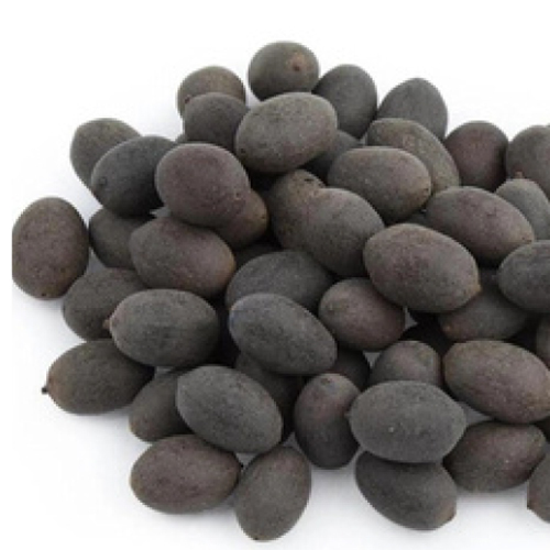 Black Lotus Seed