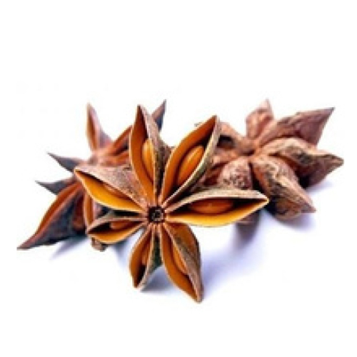 Autumn Star Anise