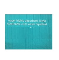 Disposable drape/bed sheet