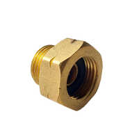 Brass Lpg Non Return Valve - Color: Golden