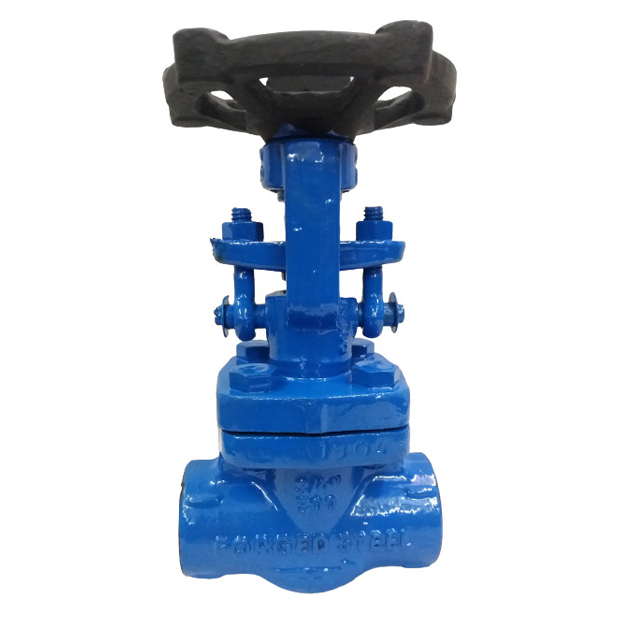 Cs Forged Gate Valve - Power Source: Manual