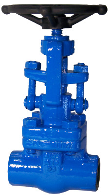 Cs Forged Globe Valve - Power Source: Manual