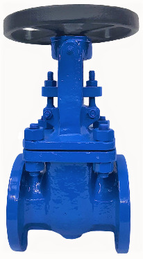 Cs Gate Valve - Power Source: Manual