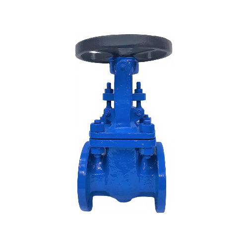 Cs Gate Valve - Power Source: Manual