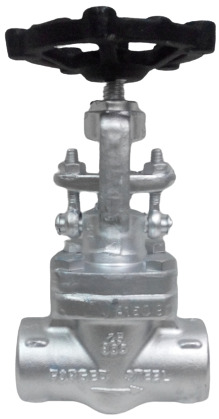 Ss Forged Globe Valve - Material: Stainless Steel