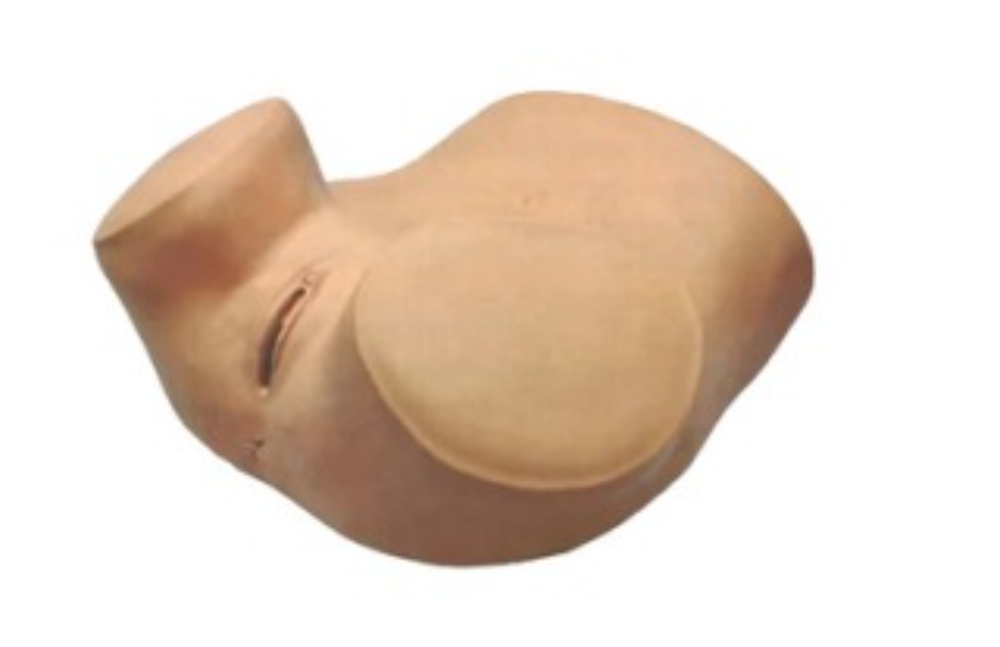  ZOE MODEL manikin