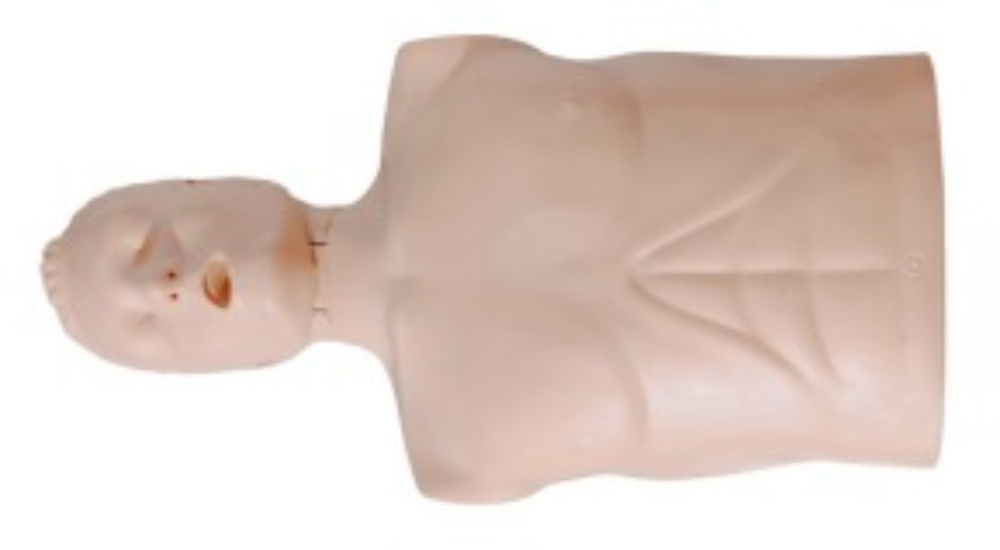 Cpr Half Body Best Price Manikin - Application: Hospital