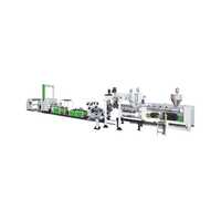 Pp Multi-layer Sheet Co-extrusion Line - Automatic Grade: Semi-automatic