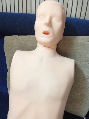 Best Price Cpr Manikin Pvc - Color: Skin