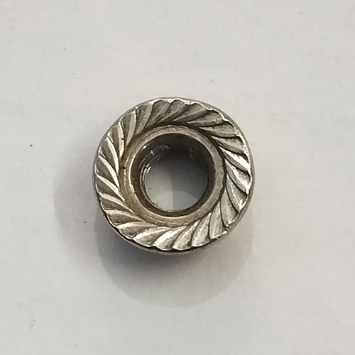 Ss Flange Screw Nut - Color: Silver