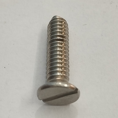 SS Head Screw