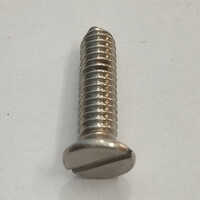 Ss Head Screw - Color: Silver