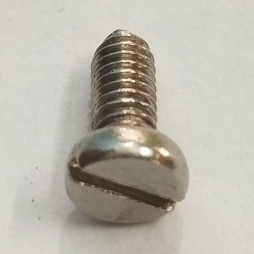 Ss Pan Head Screw - Color: Silver