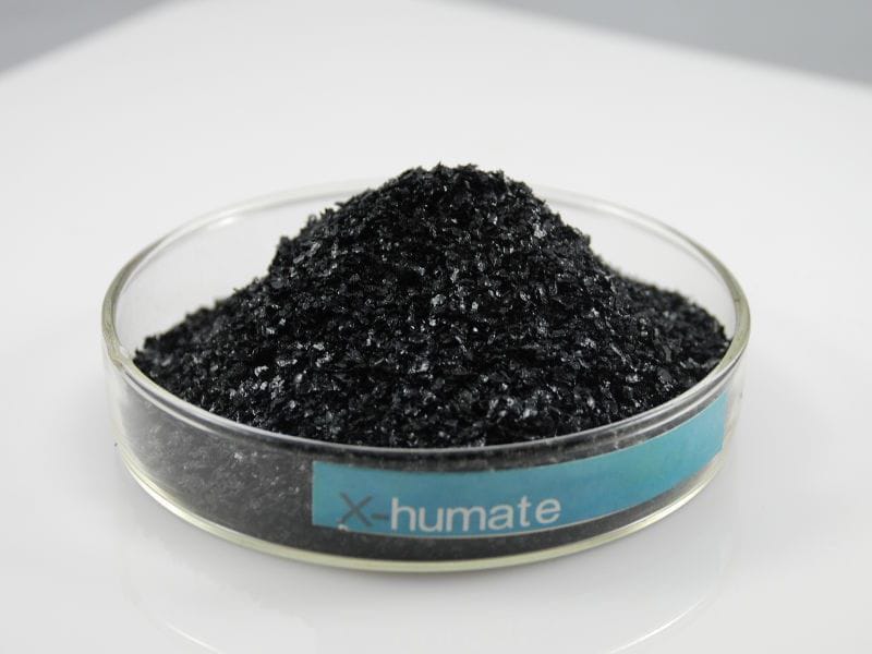 Mixture Humic Powder and Flakes