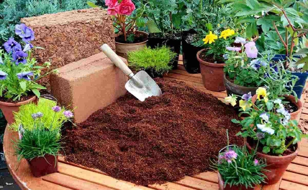 Cocopeat Brick Manure - Attributes: Eco-Friendly