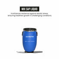 Mix Sap Liquid