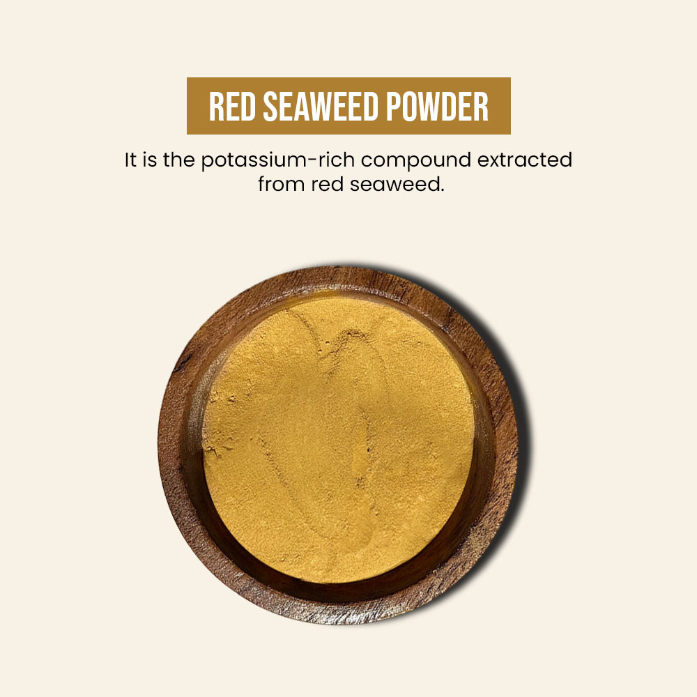 Red Seaweed Powder