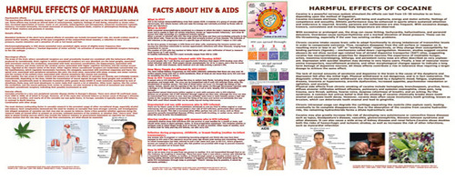 व्हाइट हेल्थ चार्ट