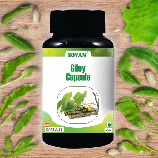 Sovam Giloy Capsule