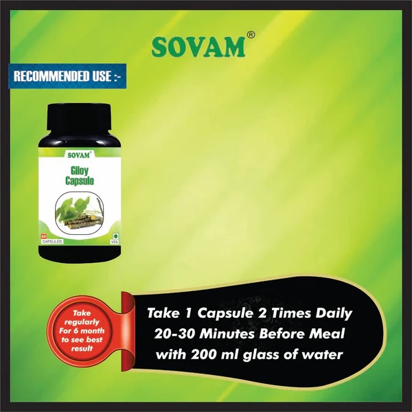 Sovam Giloy Capsule - Age Group: For Adults