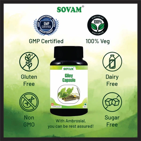 Sovam Giloy Capsule - Age Group: For Adults