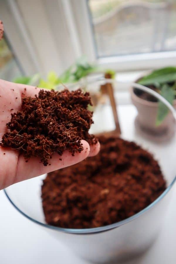 coconut coir