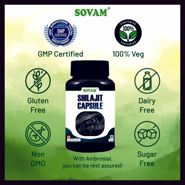 Sovam Shilajit Capsule