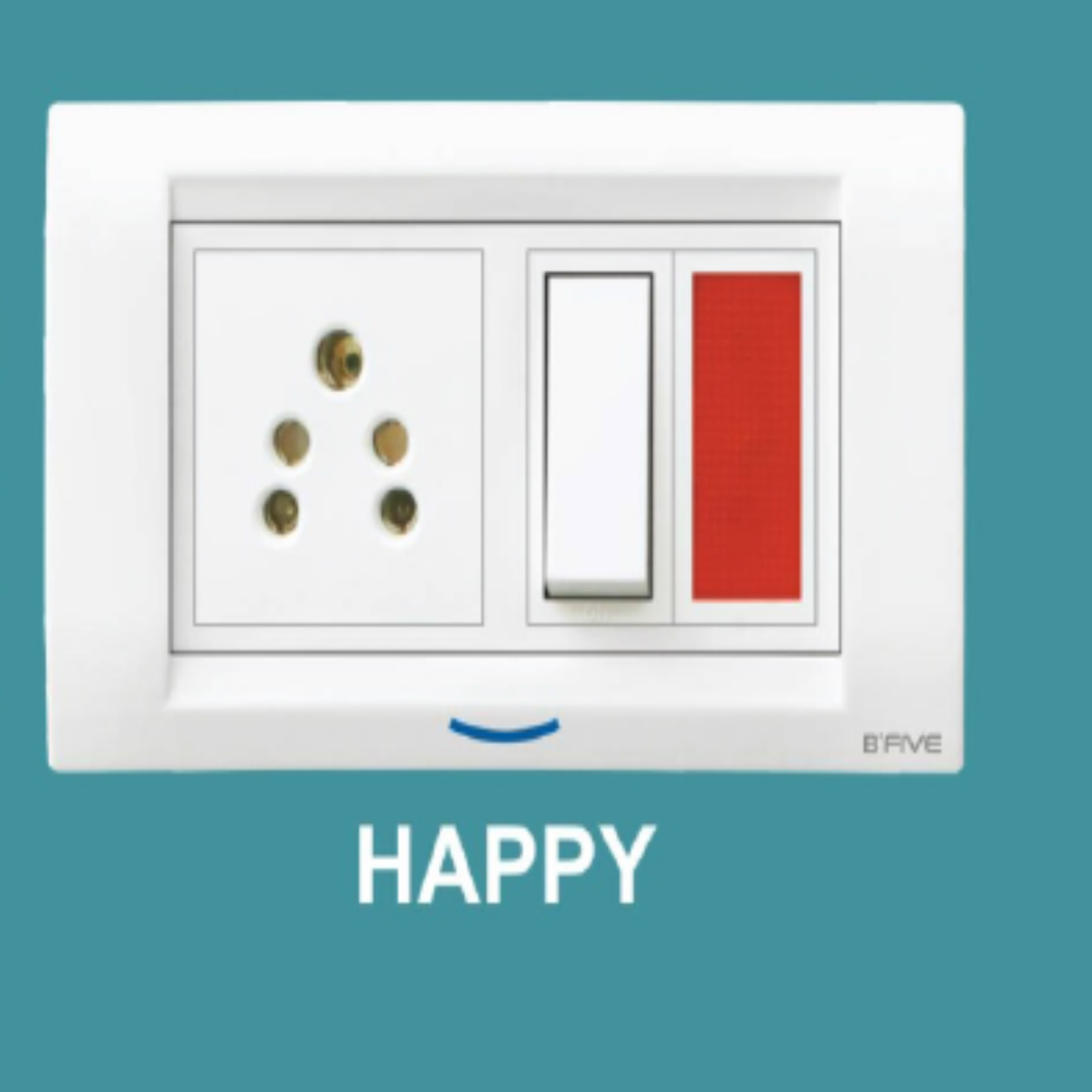 Switch Plate | Happy Plate - Features: Good Quality