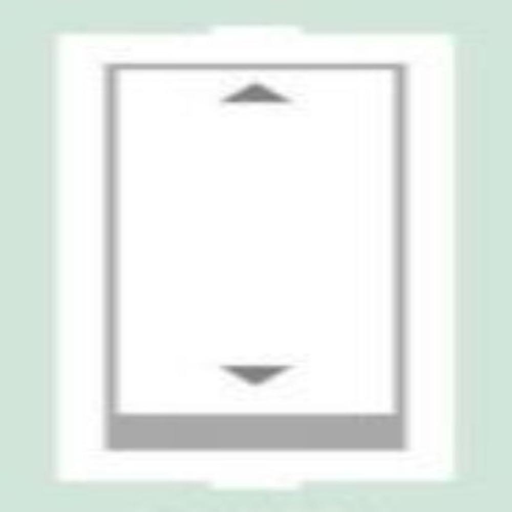 Modular Switch | 6 Amp. 2 Way Switch