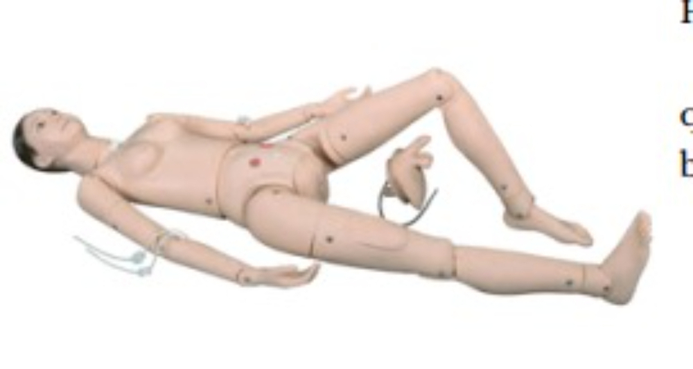 Cheapest Price Advance Unisex Multifunction Manikin - Assembly: No