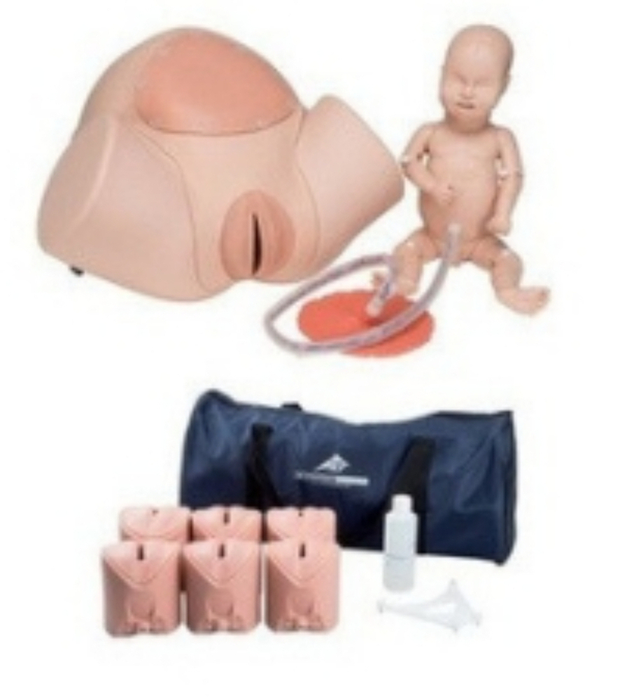 Cheapest Price Abdominal Palpitation Model Manikin - Assembly: No