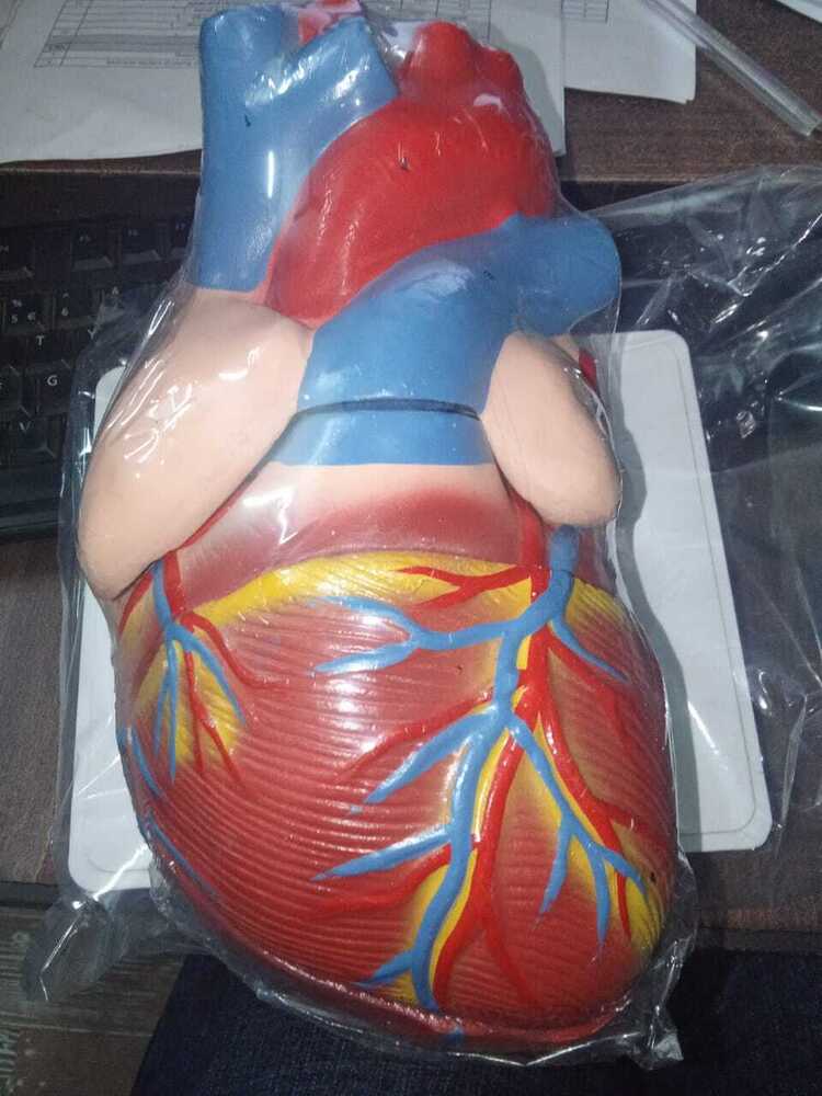 Jambo Heart Model - Application: Industrial