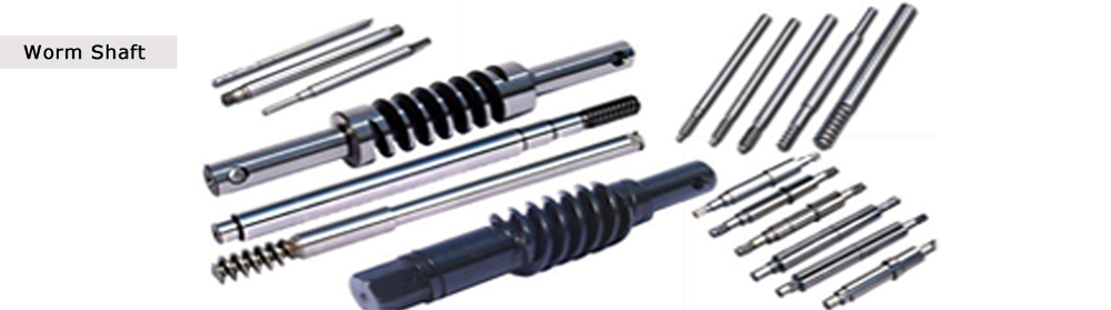 Worm Shaft