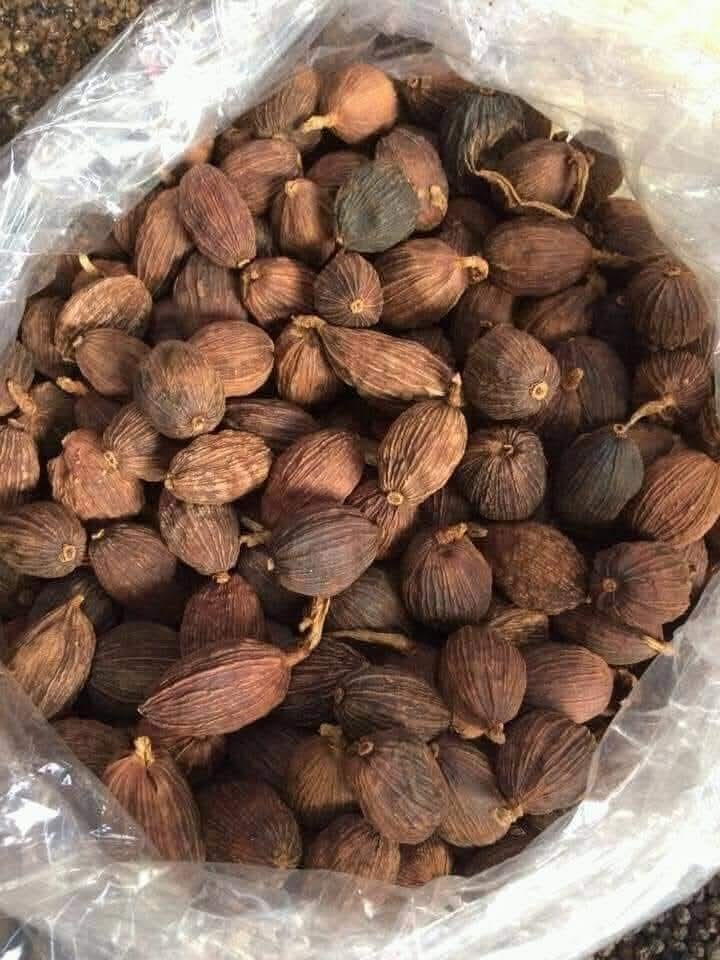 Black Cardamom (Badi Elaichi) - Color: Brown