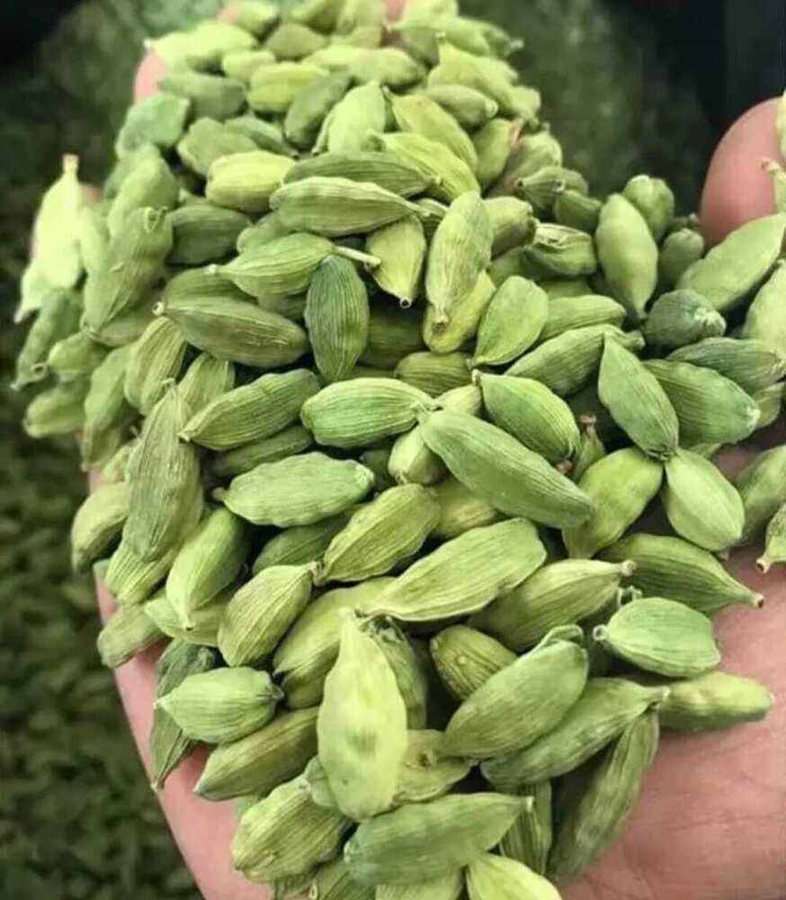 Cardamom (Green Elaichi) - Color: Green