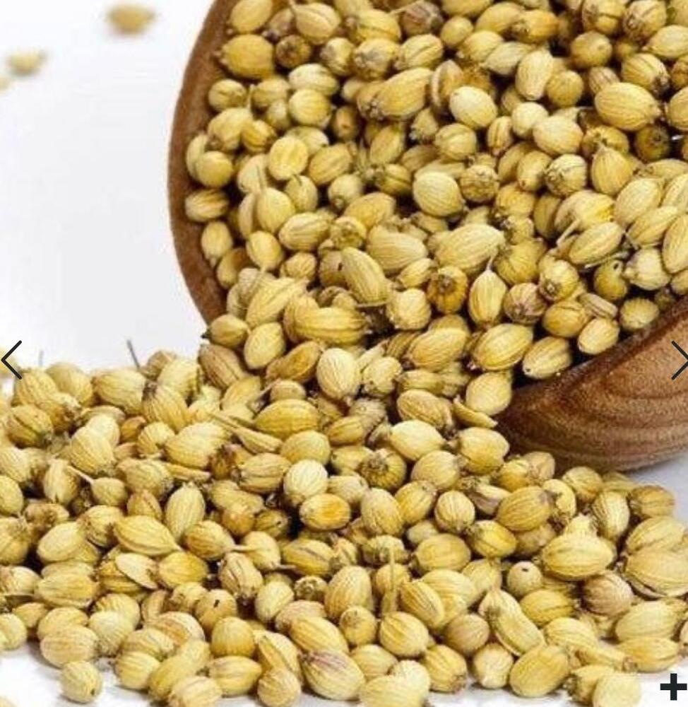 Coriander Seeds (Dhaniya) - Color: Green