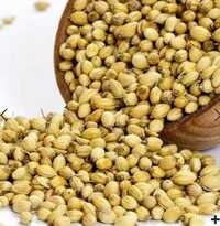 Coriander Seeds (Dhaniya)