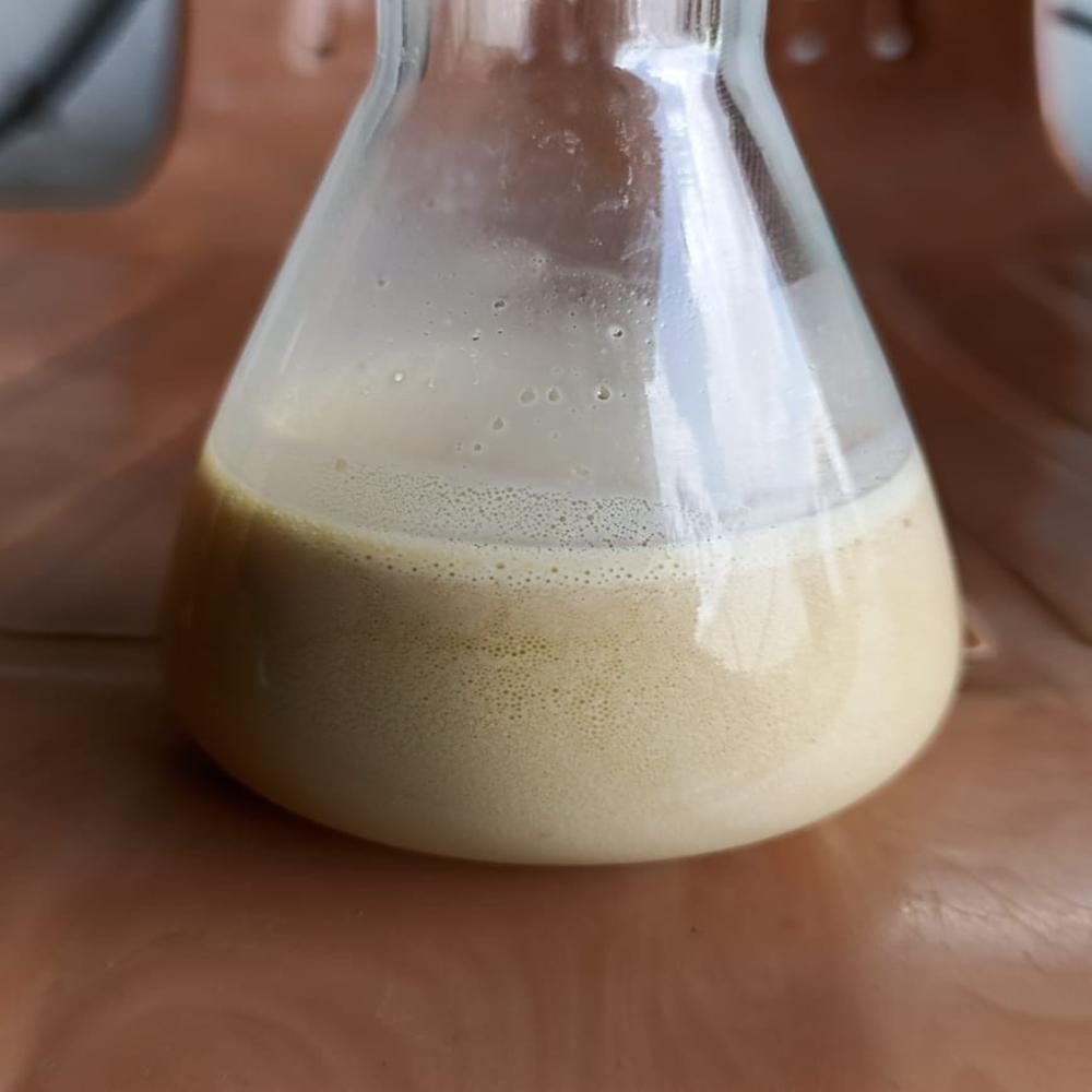 Neem Oil 300 Ppm To 1500 Ppm - 100% Pure Natural Fertilizer | Organic Pest Control, Promotes Plant Growth, Dual-purpose Solution