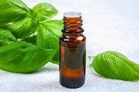 Basil Essential Oil - Purity: 99%