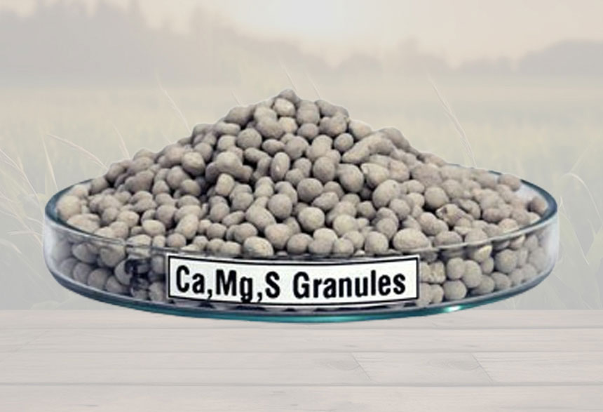 Cms Gypsum Granules - Application: Agriculture