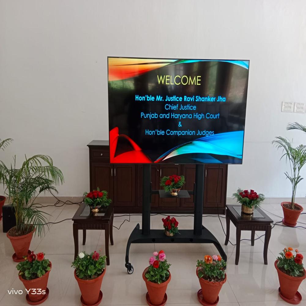 Professional Large Format Display - Application: Advertisement