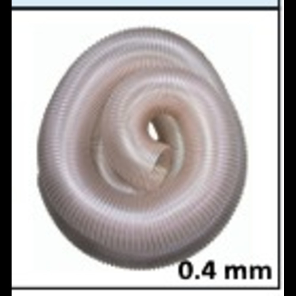 Duplon-Pu Hose (Polyurethane Hose) (Pu Thickness - 0.4Mm) - Hardness: Yes