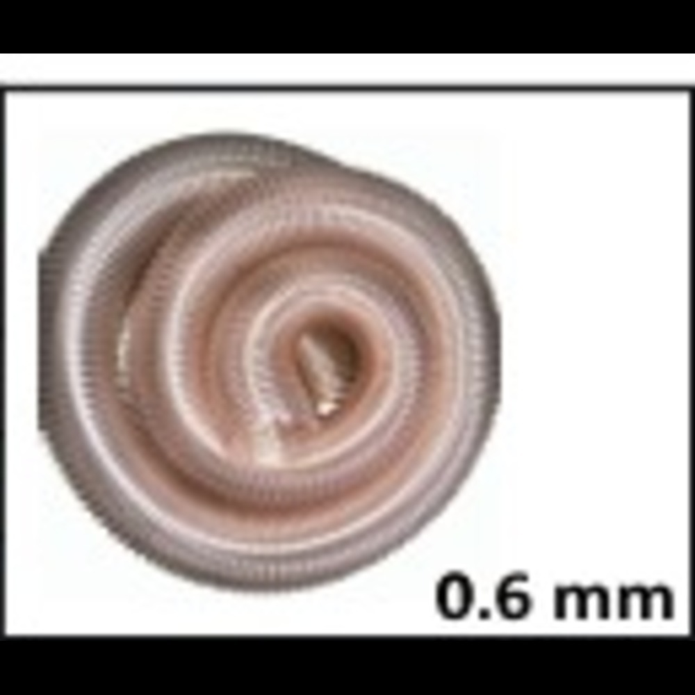 Duplon-Pu Hose (Polyurethane Hose) (Pu Thickness - 0.6Mm) - Color: Silver