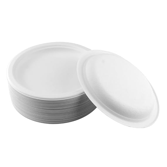 9 Inch Biodegradable Plain Plate (Medium) - Application: Food Items
