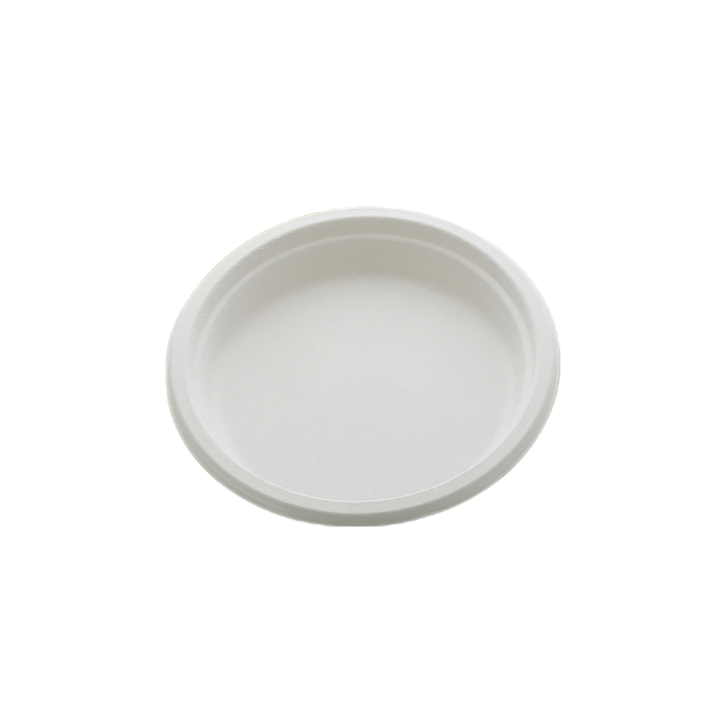 10 Inch Biodegradable Plain Plate  (Medium) - Application: Food Items