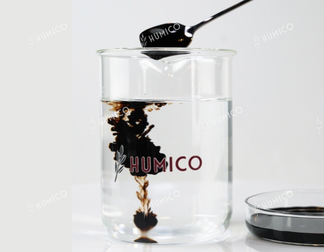 Ascophyllum Nodosum 7% Liquid