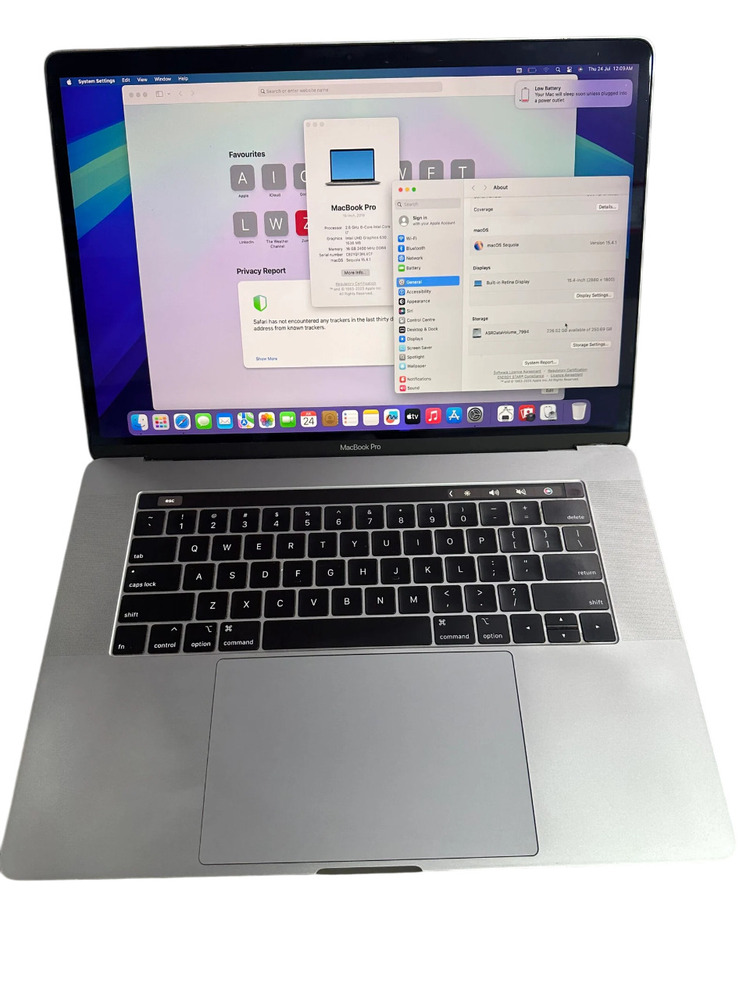 Apple Macbook Pro 15 Laptop - Memory: 256 Gigabyte (Gb)